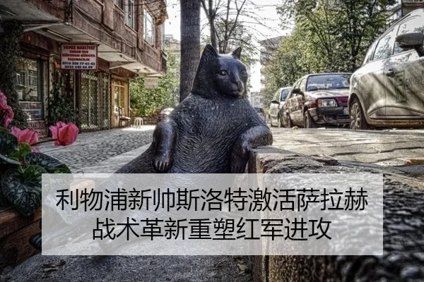 li-wu-pu-xin-shuai-si-luo-te-ji-huo-sa-la-he-zhan-shu-ge-xin-zhong-su-hong-jun-jin-gong-2-616.jpg